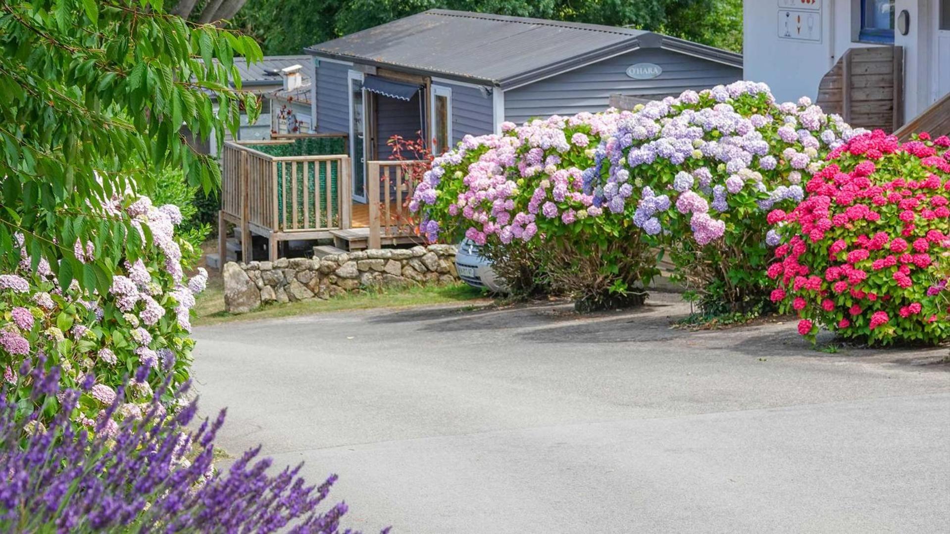 Camping Le Dolmen, Carnac, Morbihan Eksteriør bilde